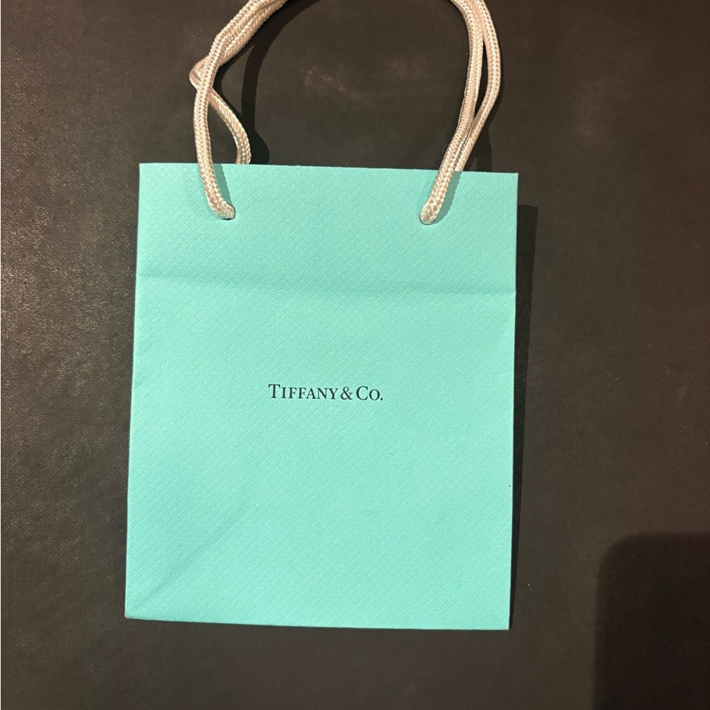 Tiffany & Co. Turquoise Women's Bag